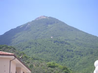 Il puntino bianco che si vede tra la vegetazione è la chiesa della Madonna della Neve