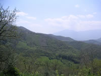 Il verde che circonda San Pietro Irpino