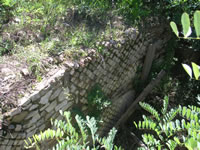 La vegetazione ha nuovamente invaso i ruderi dell'Anfiteatro di Conza