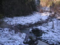 Il Torrente San Martino ammantato di neve