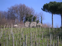 I dolmen, strutture preistoriche a S. Michele, frazione di Pratola Serra