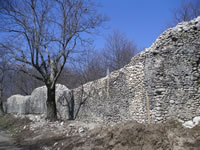 Mura