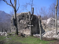 Mura