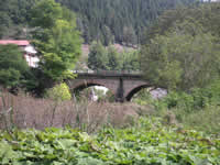 Un ponte immerso nel verde