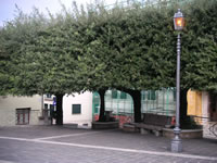 I giardini della centrale piazza Michele Aufiero